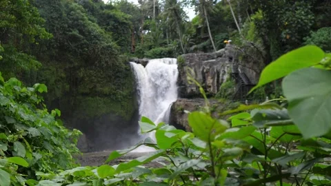 Relaxing magnificent view on the flowing waterfall in tropical jungle, peaceful Video stock 166329957