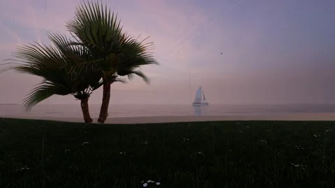 Relaxing moment Video stock 166773508