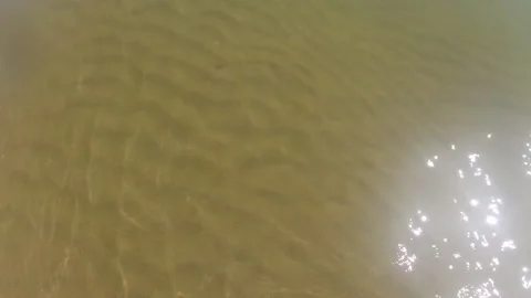 Relaxing moment Stock Footage 250079445
