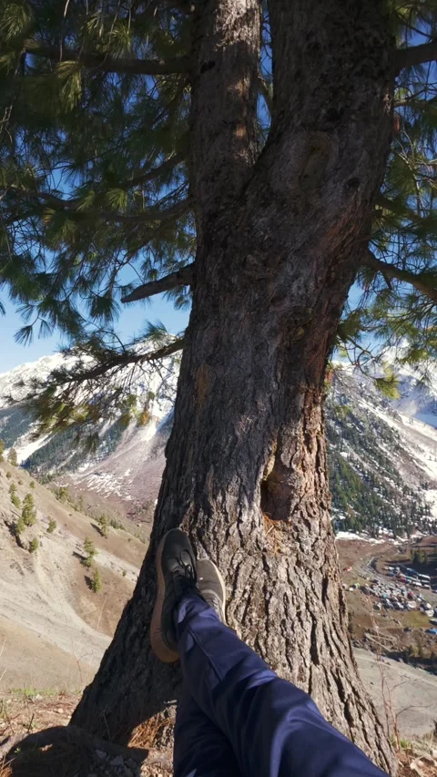 A Relaxing Moment of Solitude Overlooking an Alpine Valley Stock Footage 333782061
