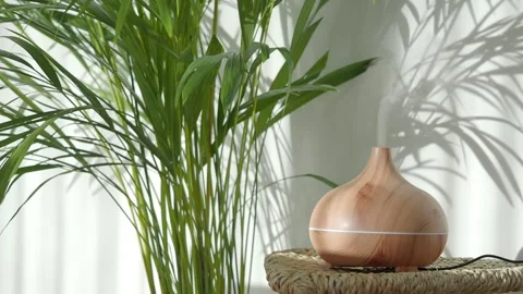 Relaxing moments with an essential oil diffuser indoors Stock Footage 317927403
