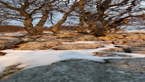 Relaxing mountain landscape at sunset Stock Footage 128816358