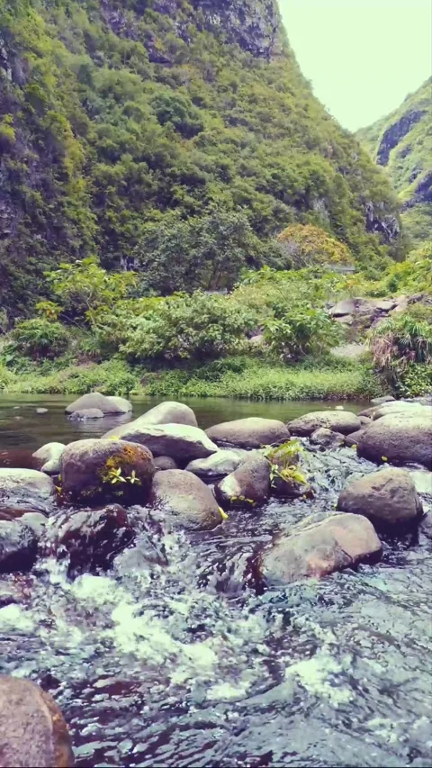 Relaxing Mountain River Flowing Through Valley Stock Footage 274192189