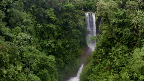 Relaxing nature background: approaching a waterfall inside a tropical forest Stock Footage 169923012