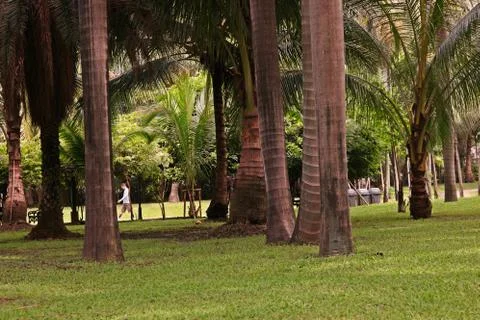 Relaxing with the nature Stock Photos