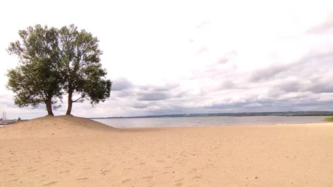 Relaxing Nature Scene: Ocean, Tree, and Sand 動画素材 158388077