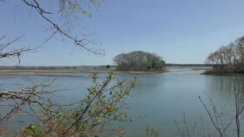 Relaxing Nature Shot Stock Footage 188510071
