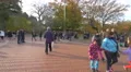 Relaxing near the lake in Central Park in 4K 4k or 4k+ Resolution