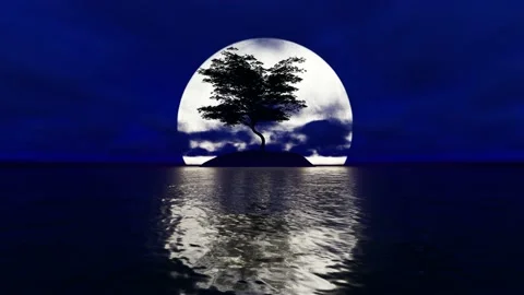 Relaxing Night Full Moon Ocean Landscape, Moonlight reflection on water, tree an Stock Footage 173558064