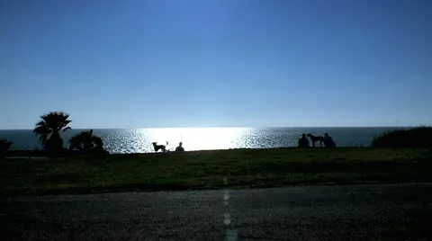 Relaxing with Ocean View Stock Footage 10906972