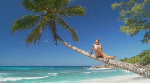 Relaxing on palmtree Stock Footage 133412
