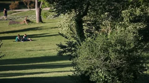 Relaxing at park Stock Footage 11133358