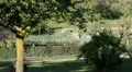 Relaxing at park HD Footage