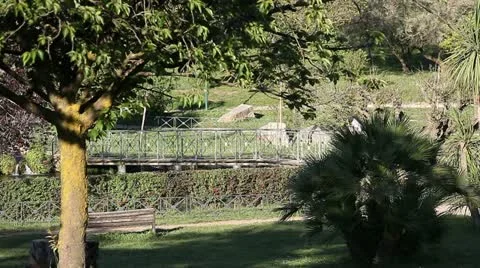 Relaxing at park Stock Footage 11133494