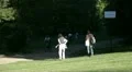 Relaxing at park HD Footage