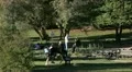 Relaxing at park HD Footage