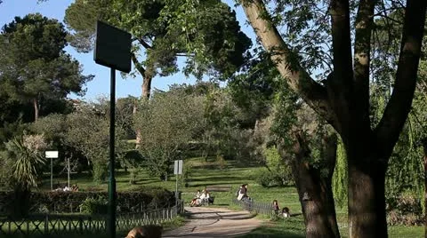 Relaxing at park Stock Footage 11134353