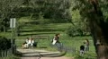 Relaxing at park HD Footage