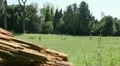 Relaxing at park HD Footage