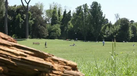 Relaxing at park Stock Footage 11232368