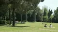 Relaxing at park HD Footage