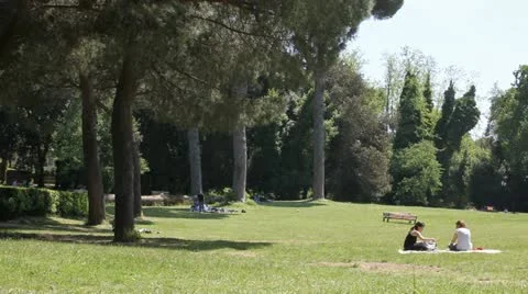 Relaxing at park Video stock 11234674