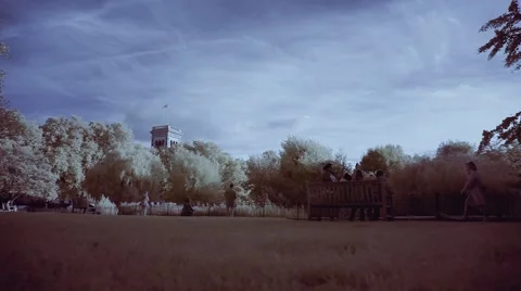 Relaxing in the park Stock Footage 42797638