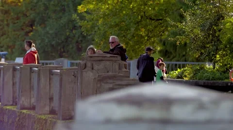 Relaxing in the park Stock-Footage 43074824