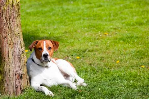 Relaxing Stock Photos