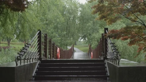 Relaxing Rain Falling on Forest Suspension Bridge - Nature Background Stock Footage 336630049