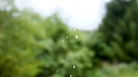 Relaxing rainfall. Raindrops run down the roof Stock Footage 201936308