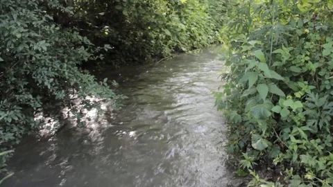 Relaxing river path Stock Footage 90793113