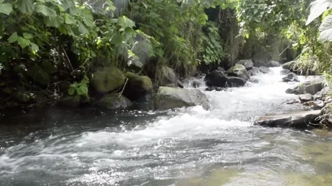 Relaxing river stream in bali Stock Footage 150007135