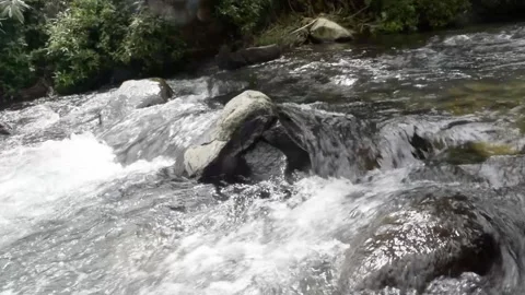 Relaxing river stream in bali Stock Footage 150007283