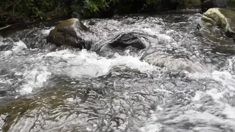 Relaxing river stream in bali Stock Footage 150007475