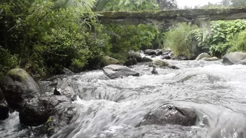 Relaxing river stream in bali Stock Footage 150007623