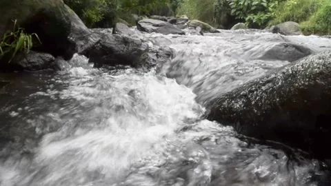 Relaxing river stream in bali Stock Footage 150007739