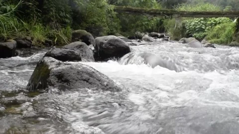 Relaxing river stream in bali Stock Footage 150007886