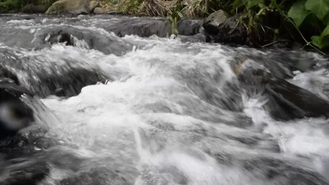 Relaxing river stream in bali Stock Footage 150008044