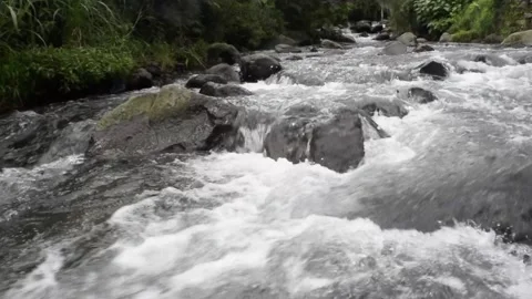Relaxing river stream in bali Stock Footage 150008098