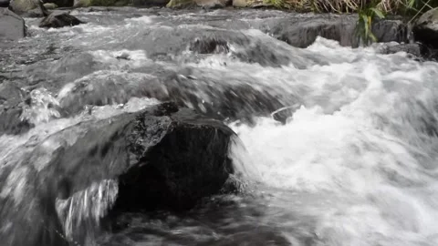 Relaxing river stream in bali Stock Footage 150008122