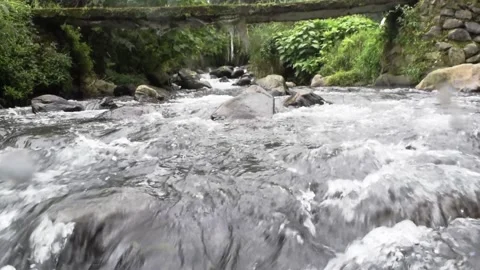 Relaxing river stream in bali Stock Footage 150008203