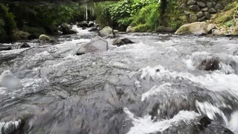 Relaxing river stream in bali Stock Footage 150008215