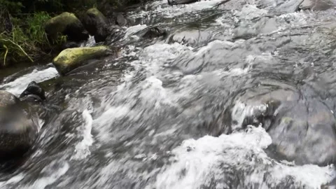 Relaxing river stream in bali Stock Footage 150008339