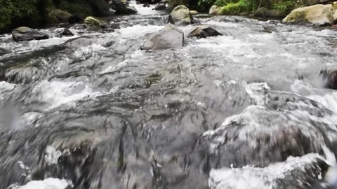Relaxing river stream in bali Stock Footage 150008381