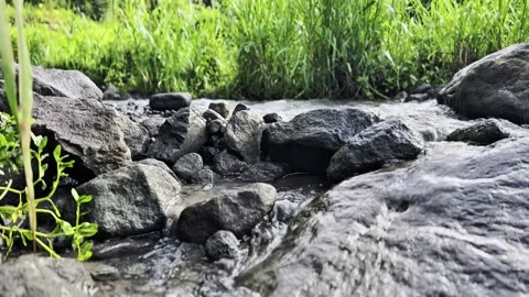 Relaxing river stream flowing over rocks in green nature Video stock 324553592
