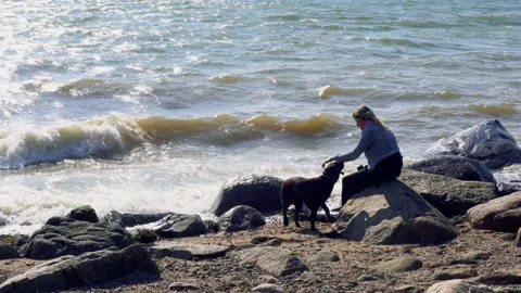 Relaxing on the rocks with a dog Stock Footage 158106469