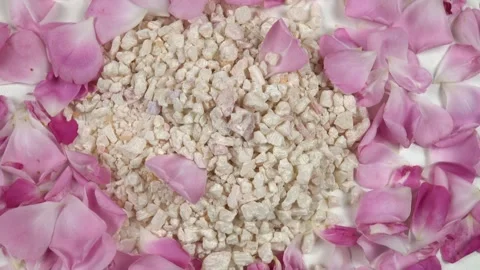 Relaxing rose bath salt, fresh pink rose petals are on a white table, top view Stock Footage 337403825