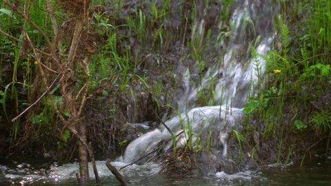 A relaxing shot of a stream running along the forest landscape with sun rays Stock Footage 116885160