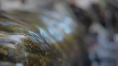 Relaxing small water stream macro shot Video stock 180964316